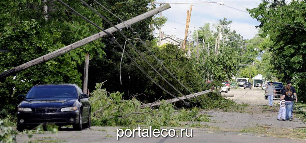Поваленные деревья и столбы электропередач